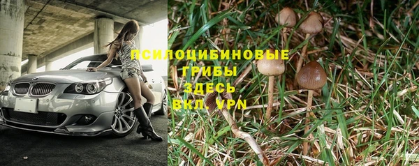 mix Армянск
