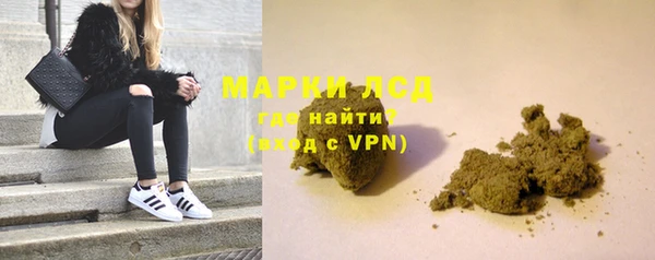 индика Арсеньев