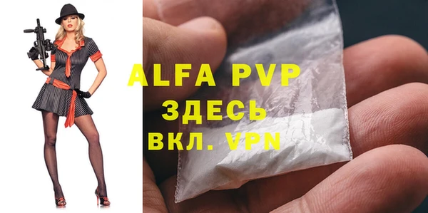 индика Арсеньев