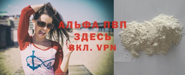индика Арсеньев
