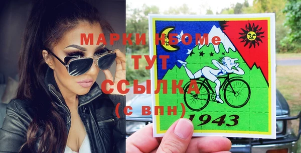 индика Арсеньев