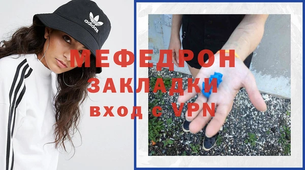 индика Арсеньев
