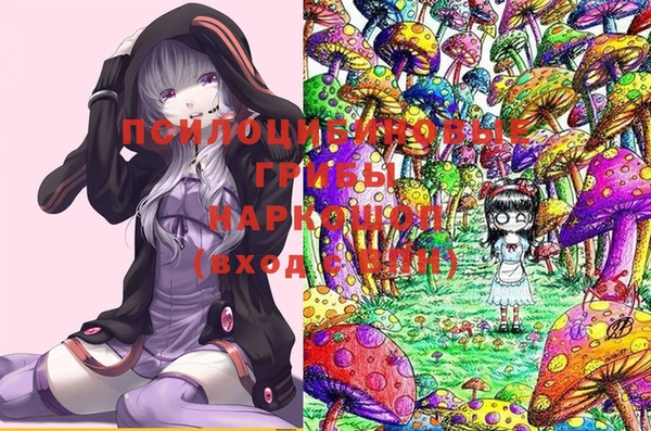 индика Арсеньев