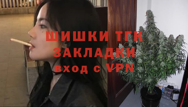 индика Арсеньев