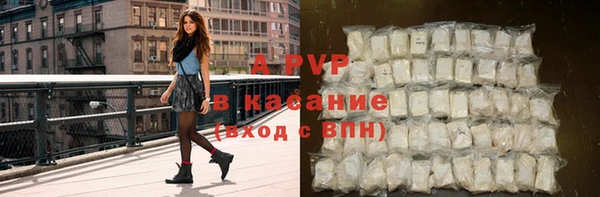 индика Арсеньев