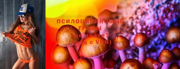 стафф Аркадак