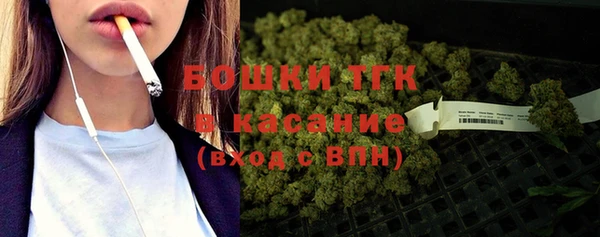 стафф Аркадак