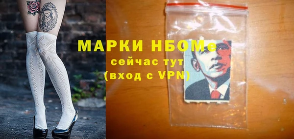 индика Арсеньев