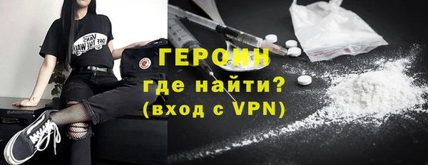 индика Арсеньев